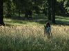 Lubica_Christophory_Hukvaldy_2007_in_grass4.jpg