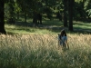 lubica_christophory_hukvaldy_2007_in_grass.jpg